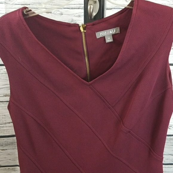 Roz & Ali plum sleeveless vneck stretchy dress 10 - Picture 5 of 8
